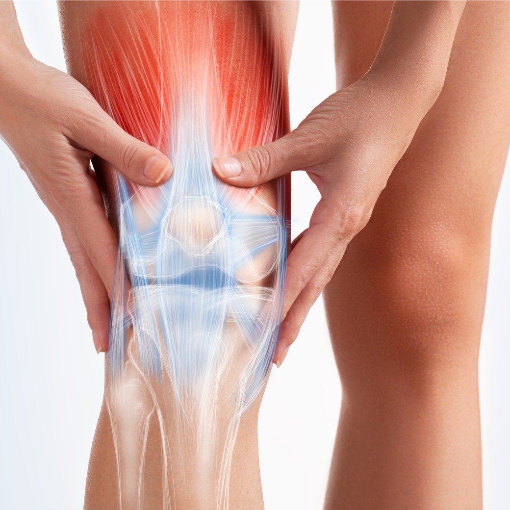 足底腱膜や脂肪体などの負荷メカニズムの概念図