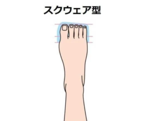 指先が横一線にそろったスクエア型の足先シルエット