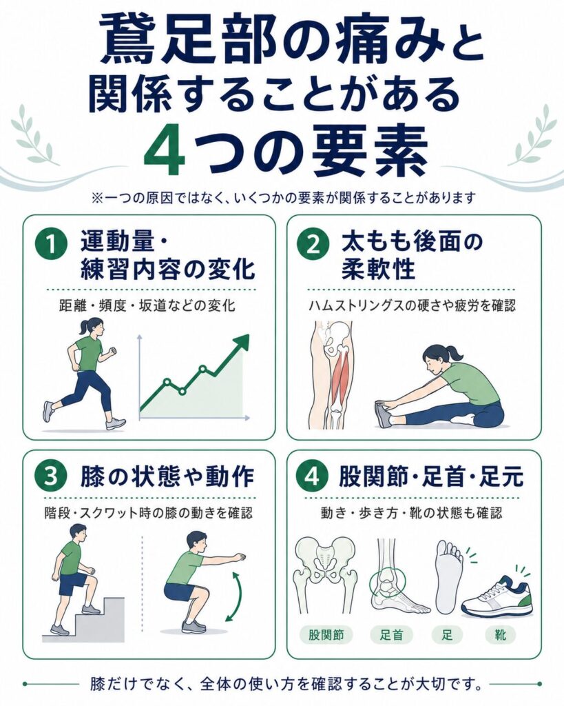 運動量の変化や太もも後面の柔軟性、膝の状態、股関節・足首・足元など、鵞足部の痛みと関係する4つの要素を示した図