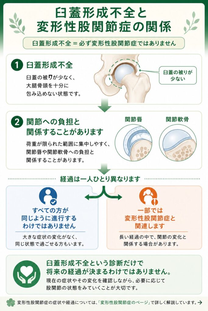 臼蓋形成不全と変形性股関節症の関係を、経過が一人ひとり異なることも含めて示した図