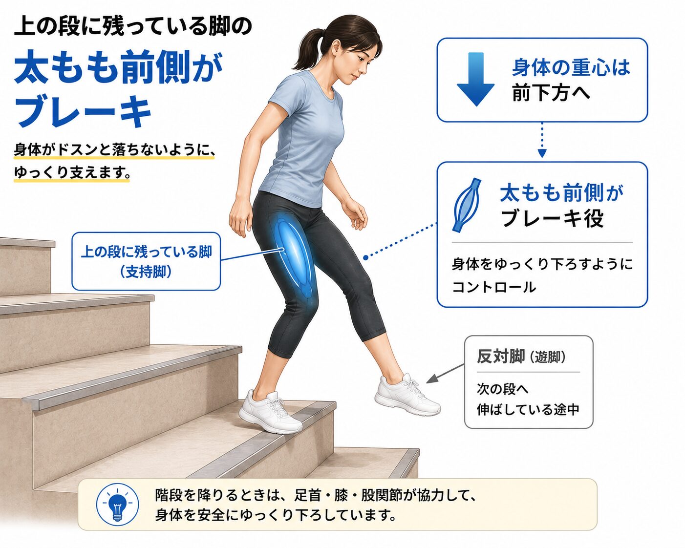 階段を降りる際に上の段に残った脚の太もも前側で身体をゆっくり支えるイメージ