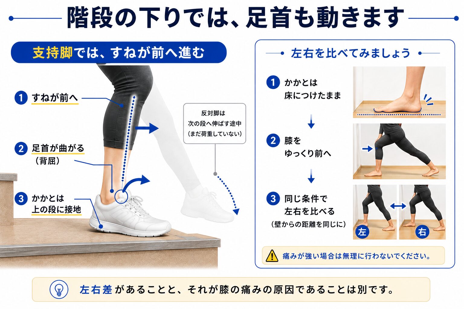 階段下降時の支持脚の足首の動きと左右差を確認する方法