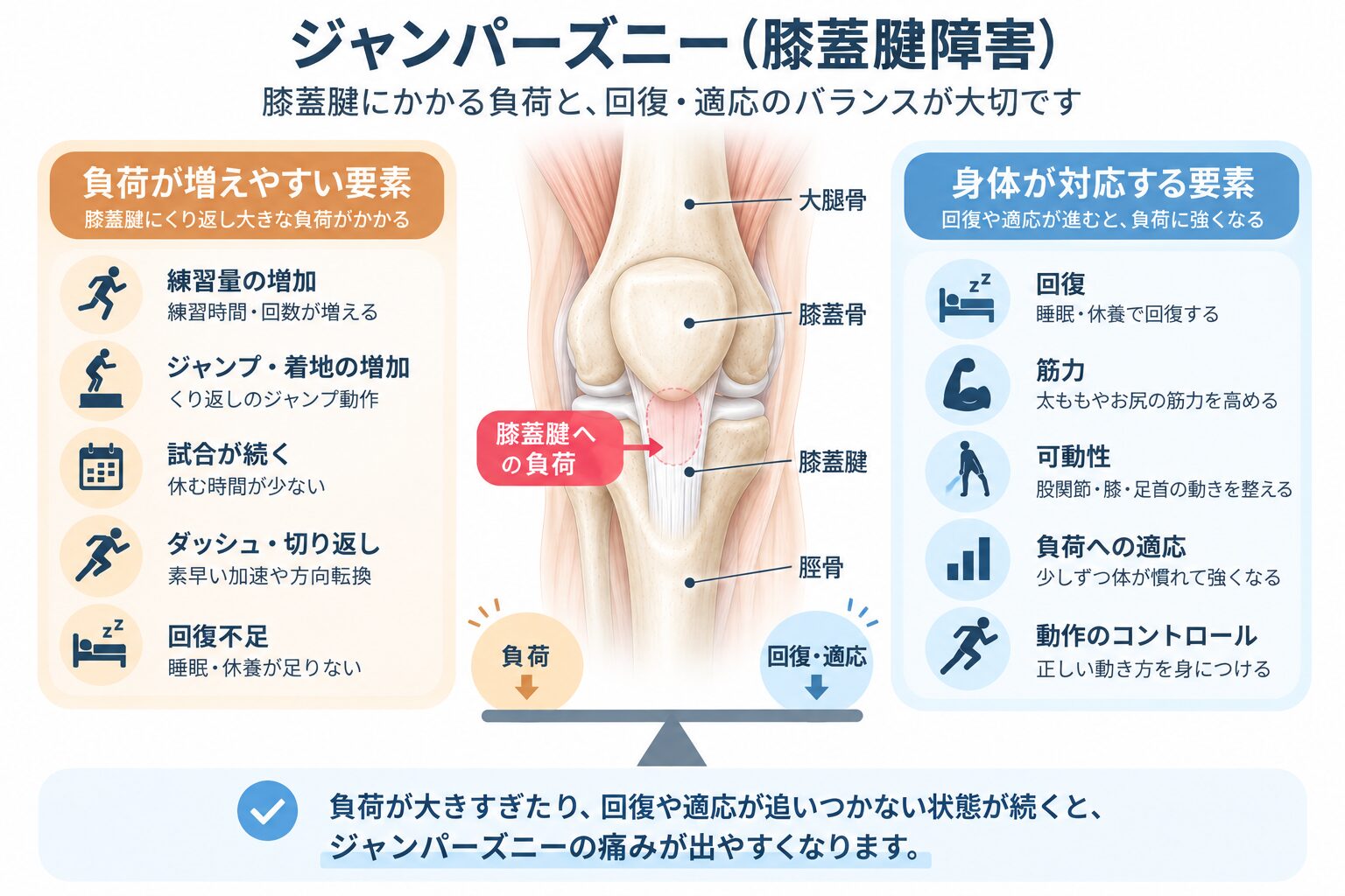 ジャンパーズニーにおける膝蓋腱への負荷と回復・適応のバランス