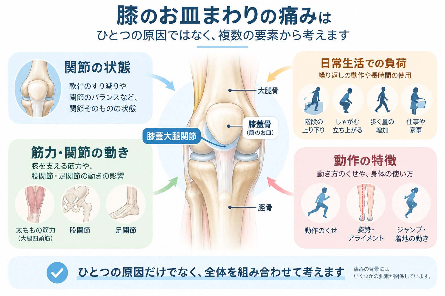 膝のお皿まわりの痛みに関係する関節の状態・日常生活の負荷・筋力・動作の要素